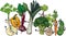Funny vegetables group cartoon illustration