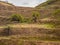 Funny view of the mountainside with terraces and pink sheep grazing. Painted sheep flanks