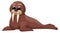 Funny walrus. Cartoon arctic sea animal character