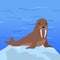 Funny Walrus Illustration