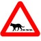 Funny warning road sign cats icon isolated
