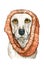 Funny watercolor domestic dog in warm scarf
