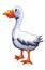 Funny Watercolor Goose