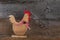 Funny Welcome Chicken Rooster Country Cottage Kitchen Wood Shape