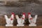 Funny Welcome White Chicken Rooster Country Cottage Kitchen Wood