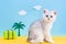 Funny white British kitten on a blue background with clouds, palms and luggage