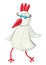 Funny white hen with eyeglasses walking