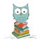 Funny wise owl standing on the pile of books wearing shoes