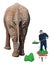 Funny Worker in Dead End Job Shovel Elephant Poop