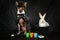 Funny Xoloitzcuintli dog dressed as a magician