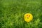 Funny yellow balloon with heart-shaped eyes and smiley face lays on the grass