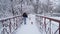 Funny yorkie walk on leash with owner on the bridge. Small yorkshire terrier running with girl in a winter snow-covered