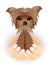 Funny Yorkshire Terrier