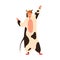 Funny young man dancing in cow kigurumi at carnival party. Male performer wearing animal costume. Cheerful comedian in