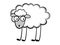 Funny young sheep