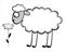 Funny young sheep