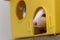 Funny young white and gray tame curious mouse hamster baby with shiny eyes looking from bright yellow cage window. Keeping pet