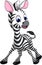 Funny zebra cartoon