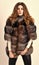 Fur fashion concept. Winter elite luxury clothes. Female brown fur coat. Fur store model posing in soft fluffy warm coat