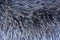 Fur of fur-bearing animals â€” tanned skins with wool. Fur â€” mammalian hair, protects from winter climatic conditions of the