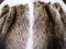 Fur pelts stitched to the textile layout close up