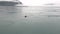 Fur seal dive in water of Pacific Ocean on background coast in Alaska.