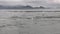 Fur seal dive in whirlpool of water of ocean on background coast in Alaska.