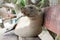 Fur seal relaxing on a bench seat, Galapagos islands