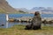 Fur seal, South Georgia