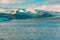 Fur seal swims among glaciers in winter in Iceland. Breathtaking natural landscape