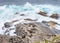 Fur seals, Cape Du Couedic, Flinders Chase National Park, Kangaroo Island, SA, Australia