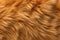 Fur texture background, light brown pattern of fluffy animal skin close-up