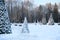 Fur tree in the park in winter. triangular Christmas trees in the snow