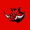 Furious boar head sport club vector logo concept isolated on red background.