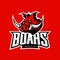 Furious boar sport club vector logo concept isolated on red background.