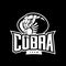 Furious cobra sport mono vector logo concept isolated on dark background