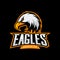 Furious eagle sport vector logo concept isolated on dark background