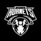 Furious hornet head athletic club vector logo concept on black background.