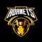 Furious hornet head athletic club vector logo concept isolated on black background.