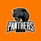 Furious panther sport vector logo concept on orange background.
