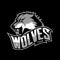 Furious wolf sport vector logo concept isolated on dark background