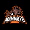 Furious woolly mammoth head sport vector logo concept isolated on black background.