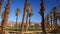 Furnace Creek Golf Course in Death Valley