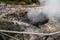 FURNAS, AZORES - Juny, 2018: Geothermal cooking in Fumarolas da Lagoa das Furnas on Sao Miguel island, Azores.