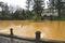 Furnas, Azores, Portugal - Jan 13, 2020: Hot spring iron water thermal pool in Terra Nostra Garden. People swimming in brown color