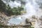 Furnas, Sao Miguel, Azores, Portugal - Jan 13, 2020: Volcanic hot springs in Portuguese Furnas. Geothermal sulphur spring. Steam