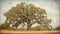 furniture antique oak tree