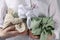 Furoshiki technique. Woman holding gifts packed in different fabrics decorated with plants, closeup