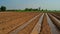 Furrow irrigation in crops production
