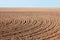 Furrows on autumn field